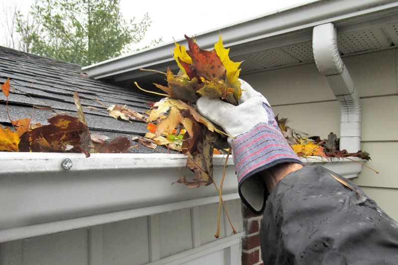 Autumn Gutter Coverage